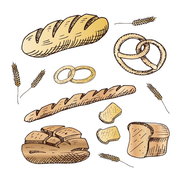 Bakery set. Collection of hand drawn bread products. Vector illustration. Isolated on white.