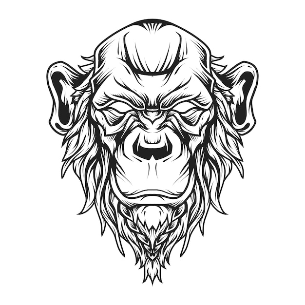 Bald Chimp Head Logo Line Art