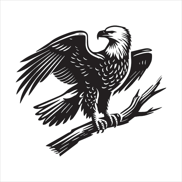 Vector bald eagle bird silhouette clipart design eagle bird vector illustration in black and white