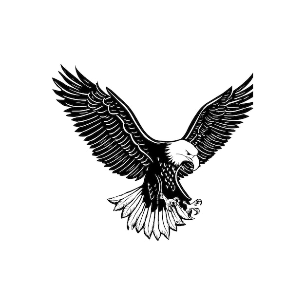 Bald Eagle bird vector logo design icon stencil black and white