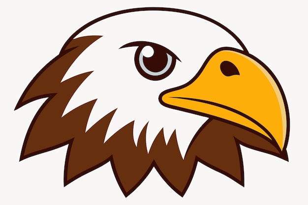 Vector bald eagle head front face b