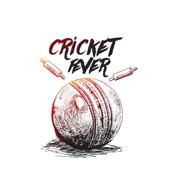 Vector ball with wicket bell cricket sports vector illustration of crickets fever