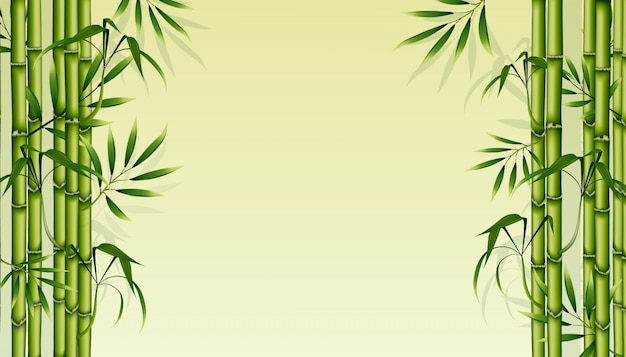 Bamboo background. Green floral illustration.