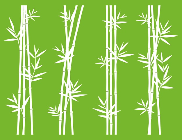 Bamboo collection set Vector