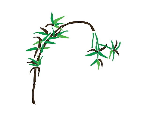 Bamboo icon Plant and nature theme Isolated design Vector illustration