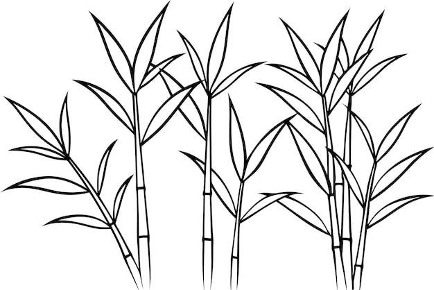 Bamboo Leaf line art showcasing natures simplicity in bamboo leaves