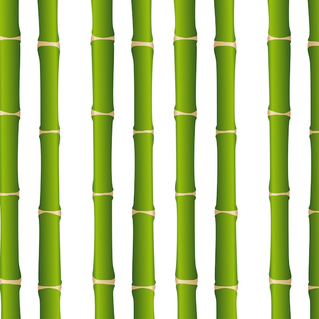 bamboo sticks over white background