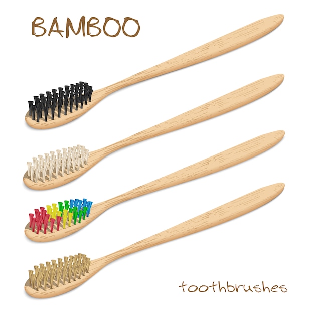 Bamboo toothbrushes vector set