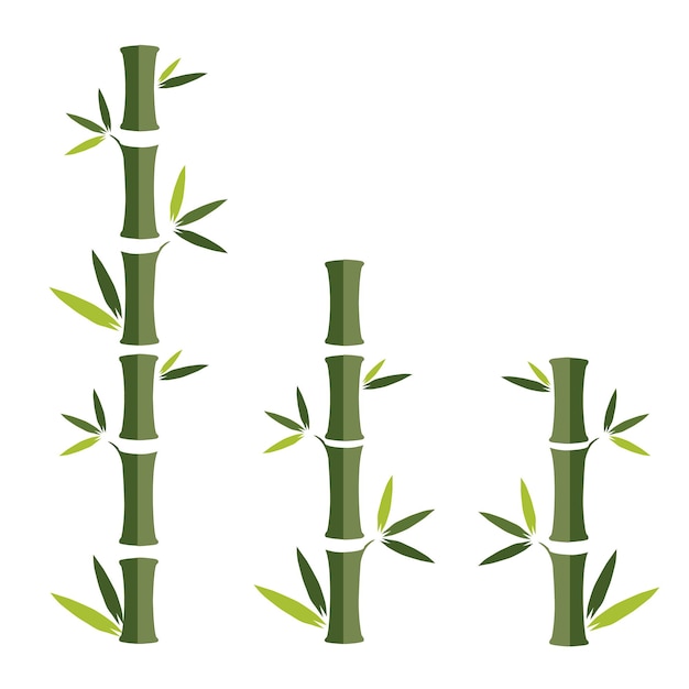 Bamboo vector