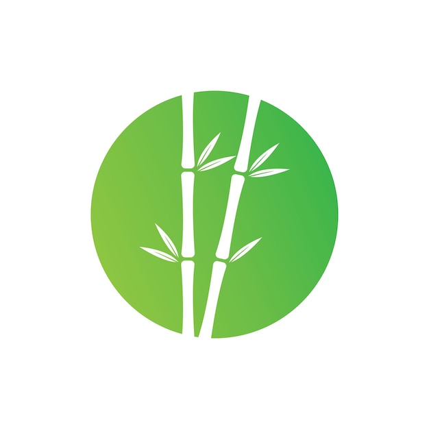 Bamboo with green leaf vector icon template