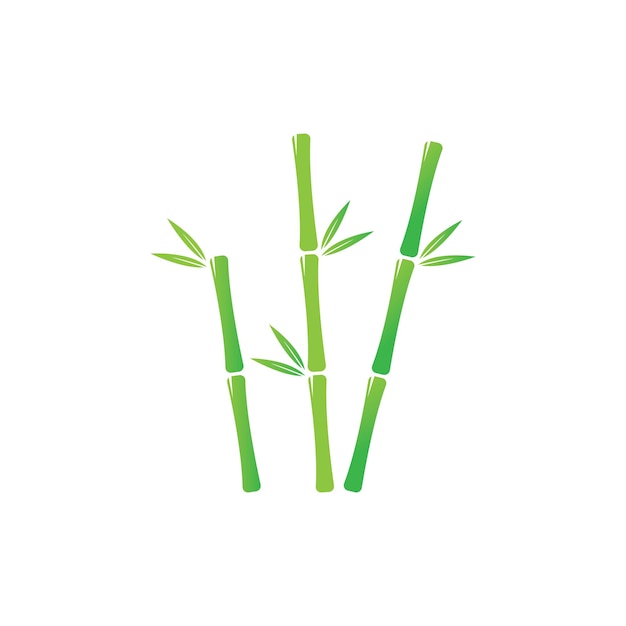 Bamboo with green leaf vector icon template