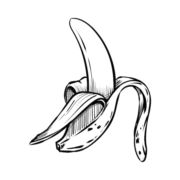 Banana bunch illustration in a hand-drawn style