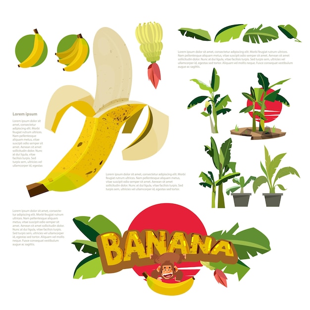 Banana collection with logo