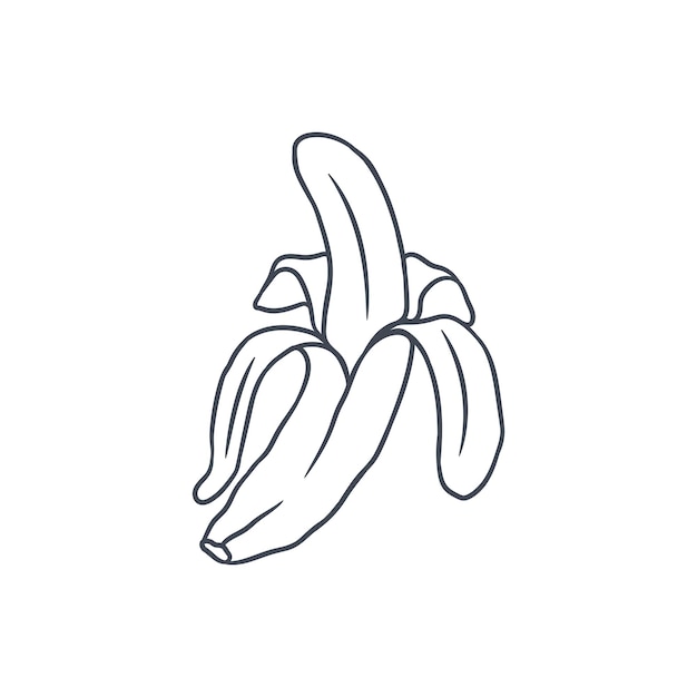 Banana drawing vector illustration