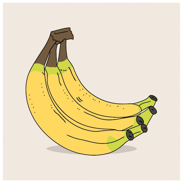 banana fruit design vector illustration