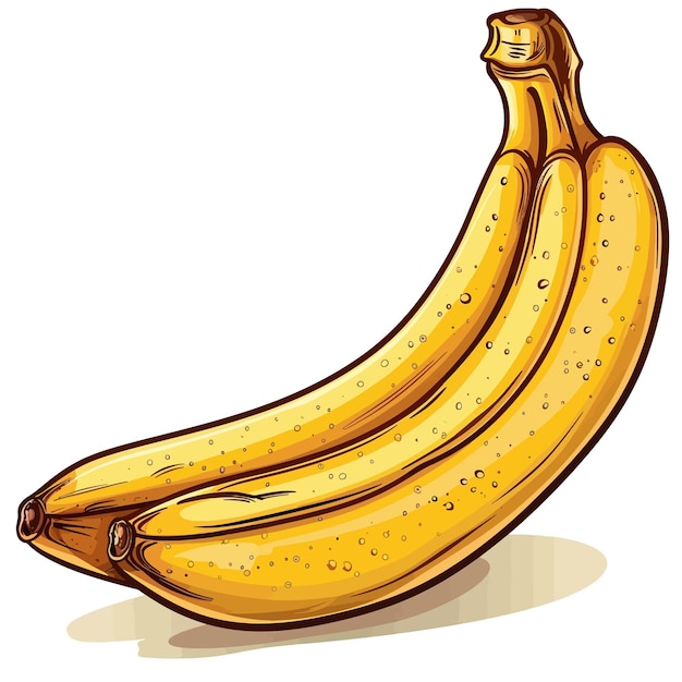 Banana fruit