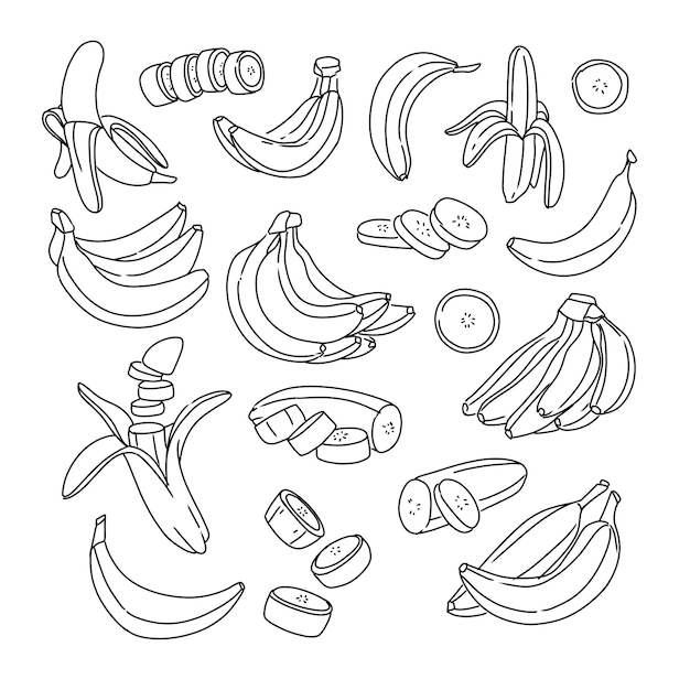 banana hand drawn doodle illustrations vector set