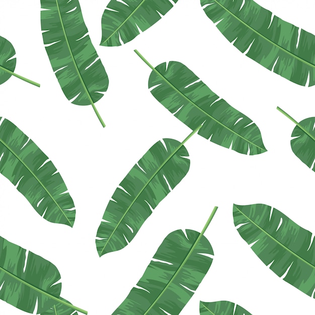 Banana leaves pattern