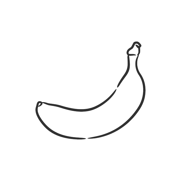 Banana line art vector illustration