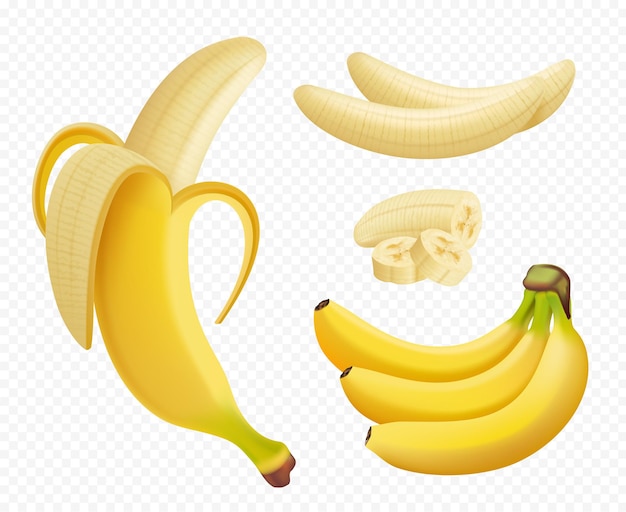 Banana realistic. Healthy natural exotic fruits foods plants  illustrations isolated.