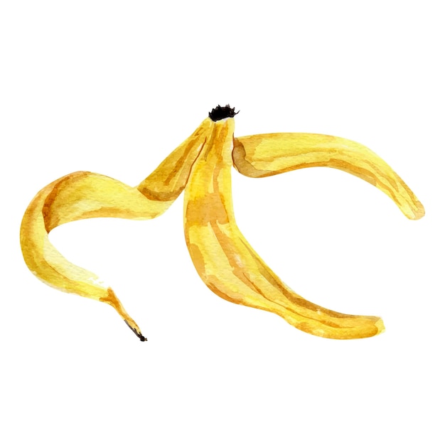 Banana skin vector imitation watercolor