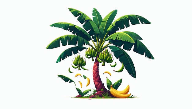 Vector banana tree botanical art print remix from artworks by by marcius willson and na calkins