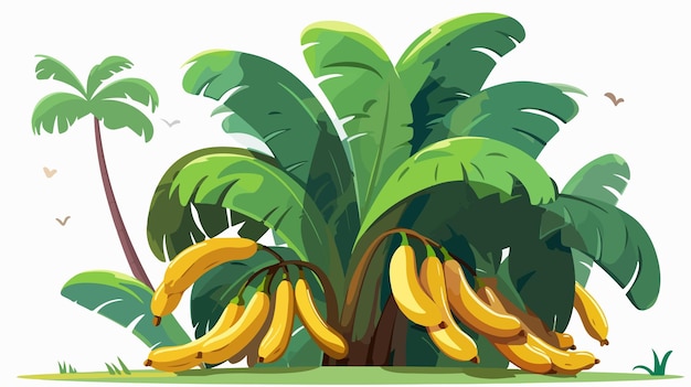 Banana Tree Isolated Flat Vector Illustration Cartoon