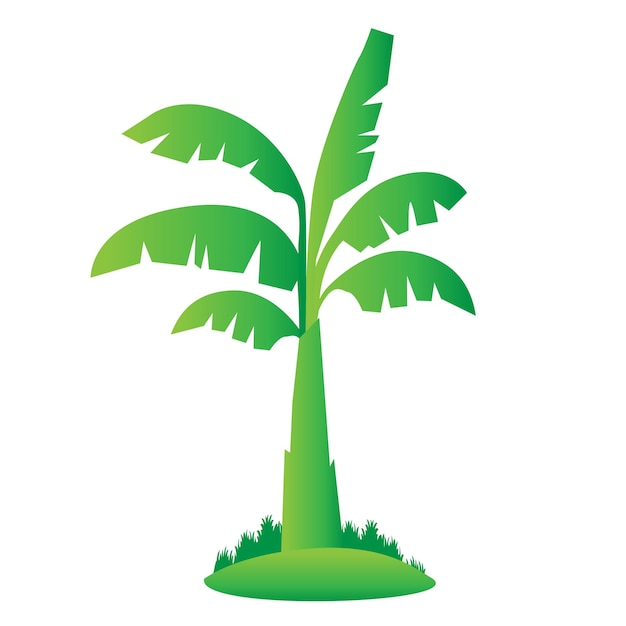 Banana tree isolated vector illustration