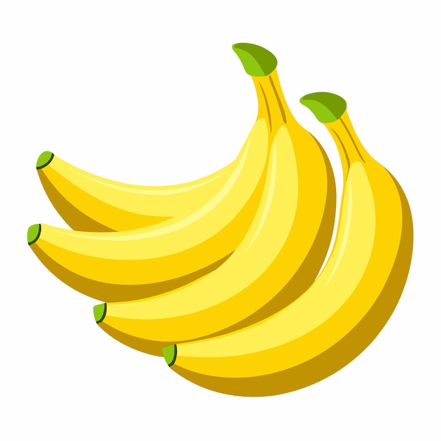 Vector banana vector illustration 9