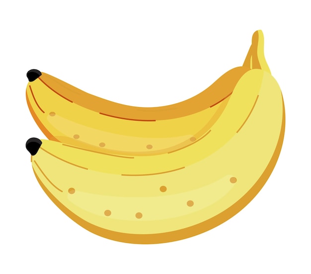 Banana vector isolated on white background. Fruit, fresh, health food icon are shown.