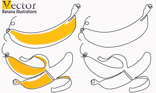 banana vector sketch illustration of a split banana continuous line drawing of banana Fruit art