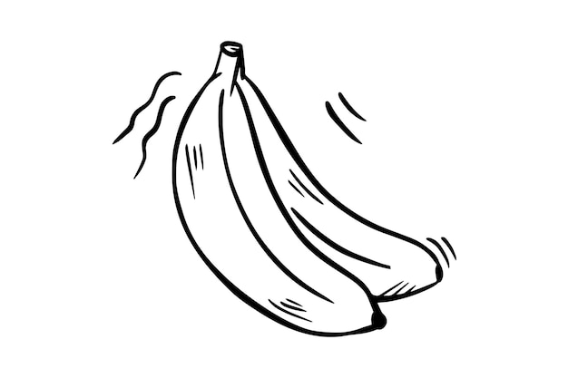 Bananas are drawn with a black outline Vector graphics sketch