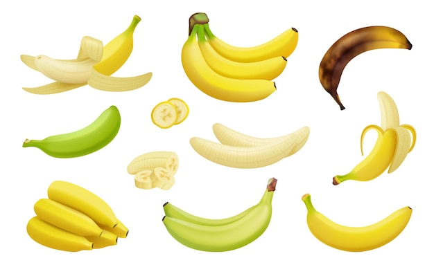 Bananas Pieces of exotic tropical natural products realistic bananas platano vegetables fruits decent vector templates