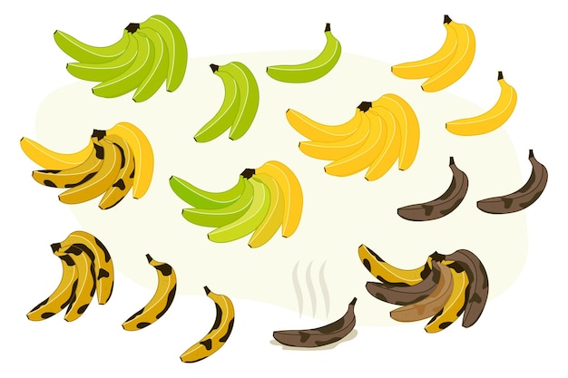 Bananas set