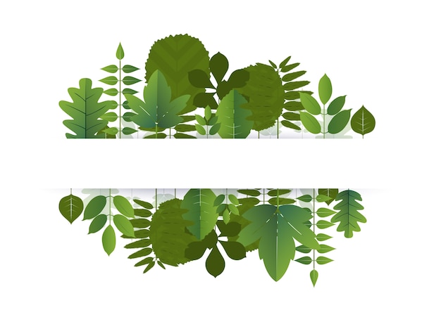 Banner of leaf blank center space for text