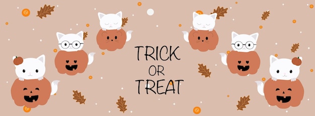 A banner for the site.Halloween banner.Cute white cats are sitting in pumpkins.The inscription