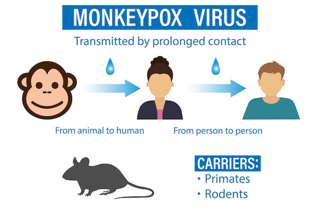 A banner with the monkey pox virus to inform and warn about the symptoms and spread of the monkeypox