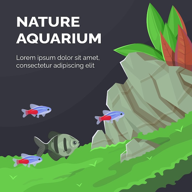 Banner with a natural aquarium and fish