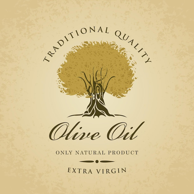 Vector banner with olive tree and olive oil labeled