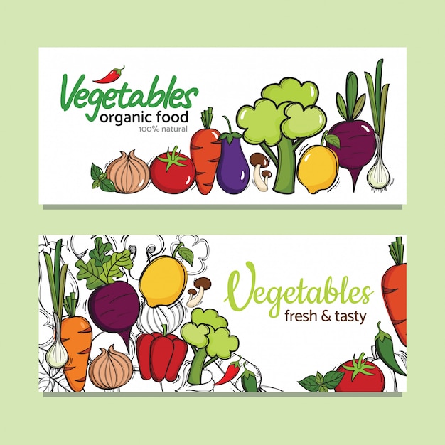 Banners design with vector organic  vegetables