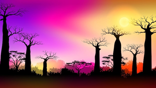 Baobab trees in Africa savanna landscape at Sunset with Colorful gradient sky