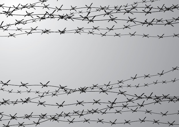 Vector barbed wire fencing. fence made of wire with spikes. black and white illustration to the holocaust. console camp.