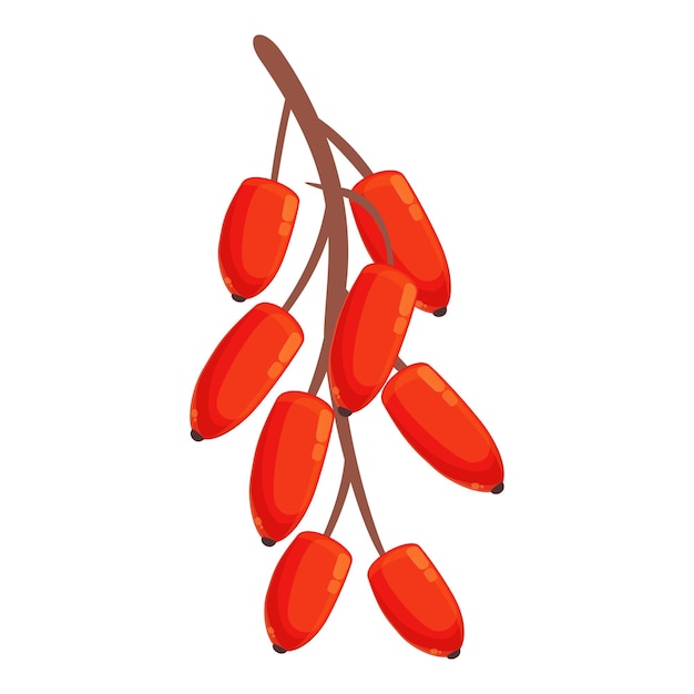 Vector barberry fruit icon cartoon vector goji berry organic natural