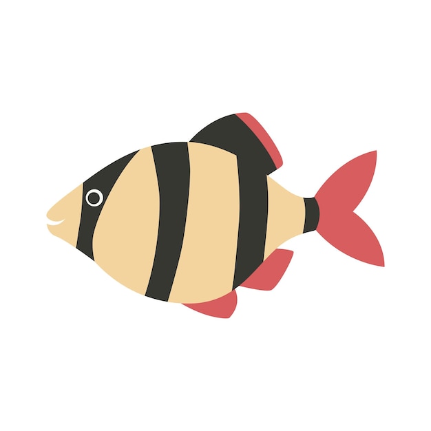 Barbus fish icon cartoon.