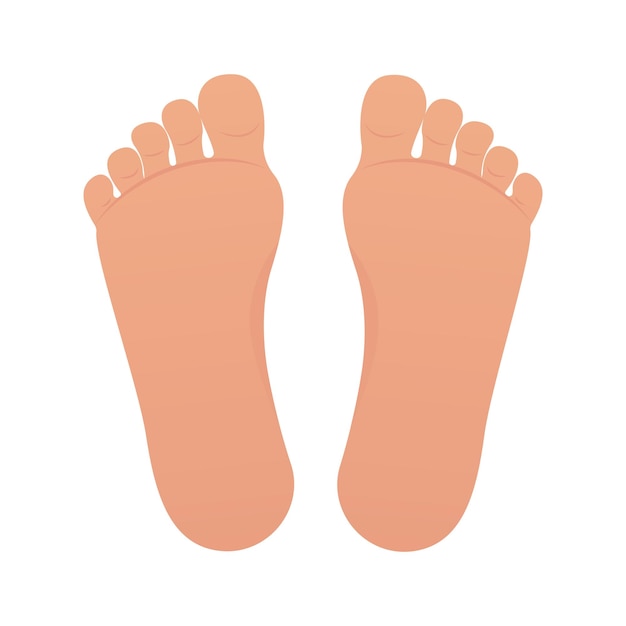 Bare Feet isolated vector illustration cartoon graphic