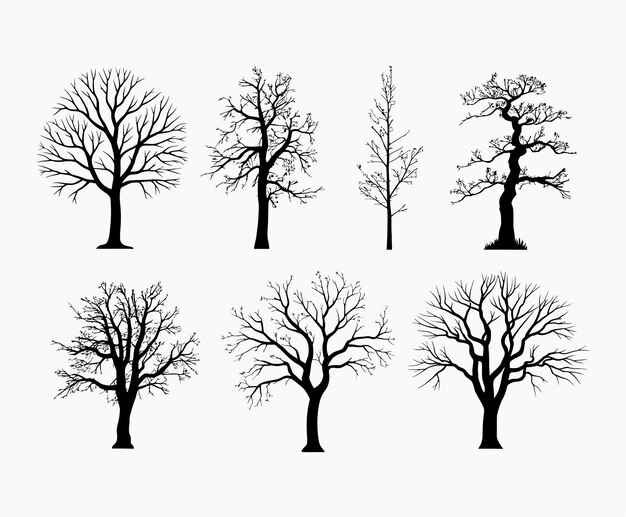 Vector bare trees silhouette eps vector file or hand drawn trees isolated illustration