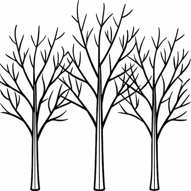 Vector bare trees vector illustration line art