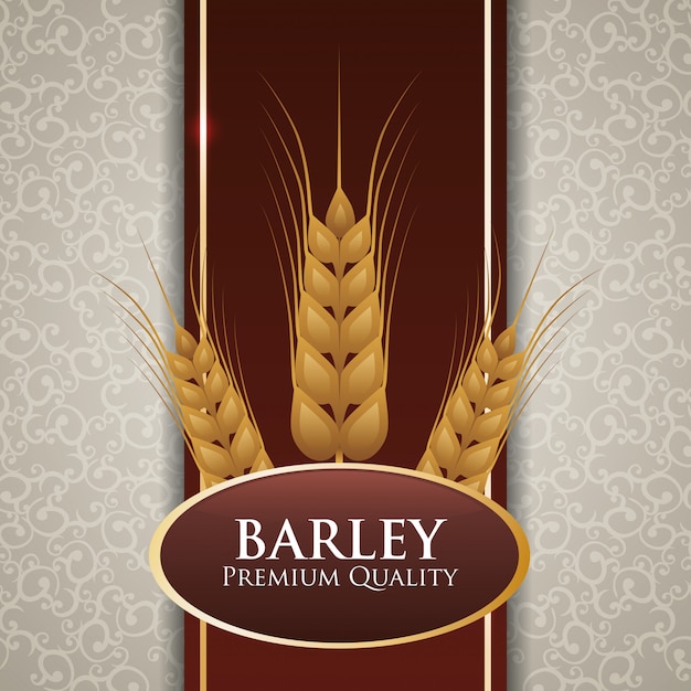 Barley design 