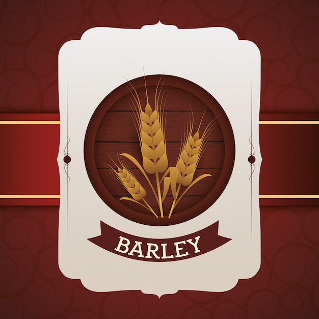 Barley design 