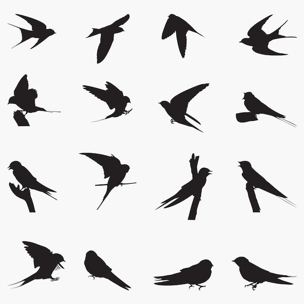 Barn Swallow Silhouettes illustration